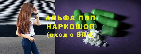 хмурый Каменка