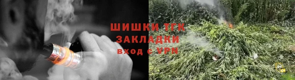 хмурый Каменка
