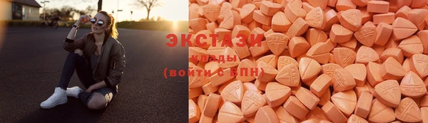 СК Каменногорск