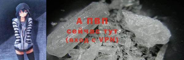 СК Каменногорск