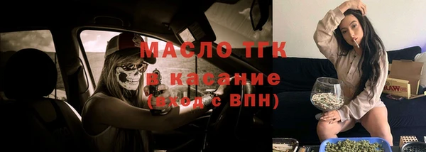 хмурый Каменка