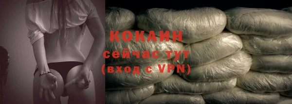 хмурый Каменка