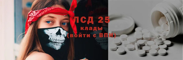 хмурый Каменка