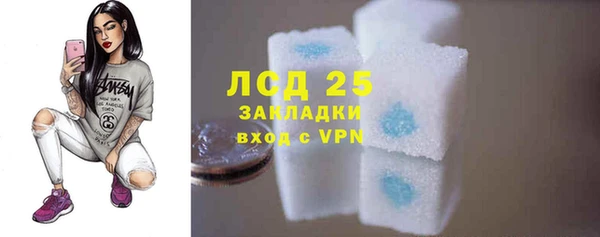 СК Каменногорск
