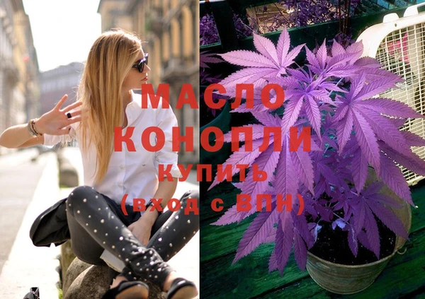 СК Каменногорск