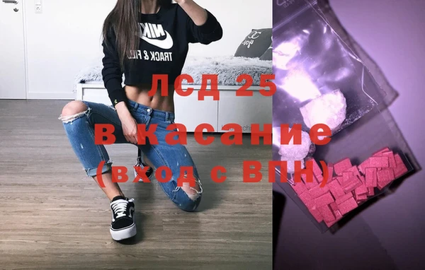 хмурый Каменка