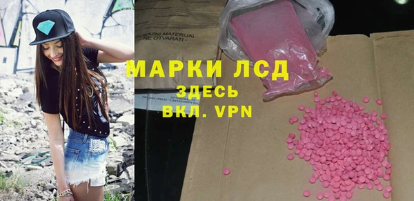 хмурый Каменка