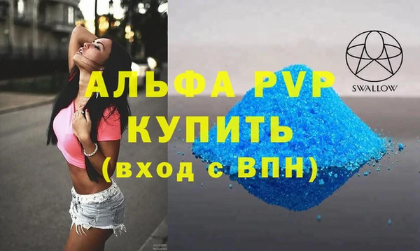 СК Каменногорск