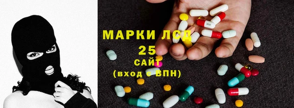 хмурый Каменка