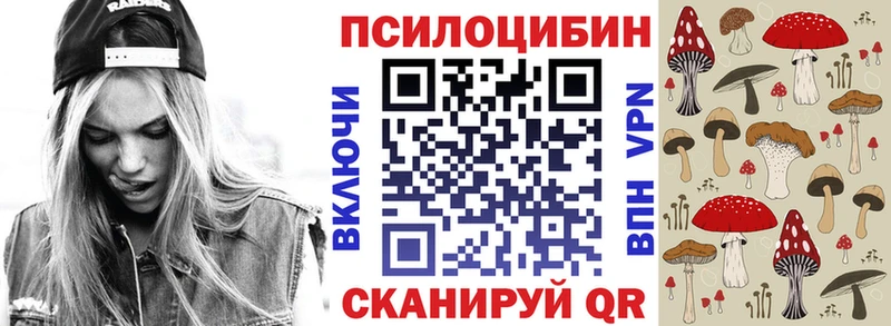 Купить где  Завитинск  Псилоцибиновые грибы мицелий 